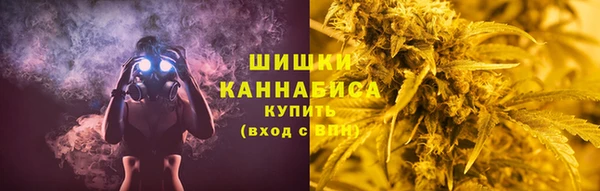 прущие грибы Армянск