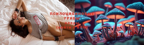 таблы Арсеньев