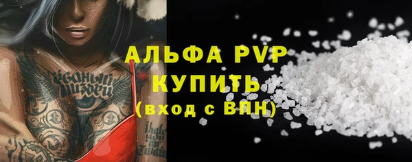 прущие грибы Армянск