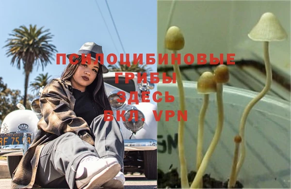 кокаин колумбия Балабаново