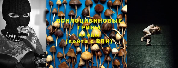 таблы Арсеньев