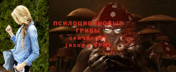 прущие грибы Армянск